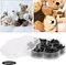 184PCS Plastic Safety Eyes for Amigurumi – Black Crochet Eyes, Stuffed Animal Craft Doll Toys, Mushroom Domed Sewing Buttons with Storage Box